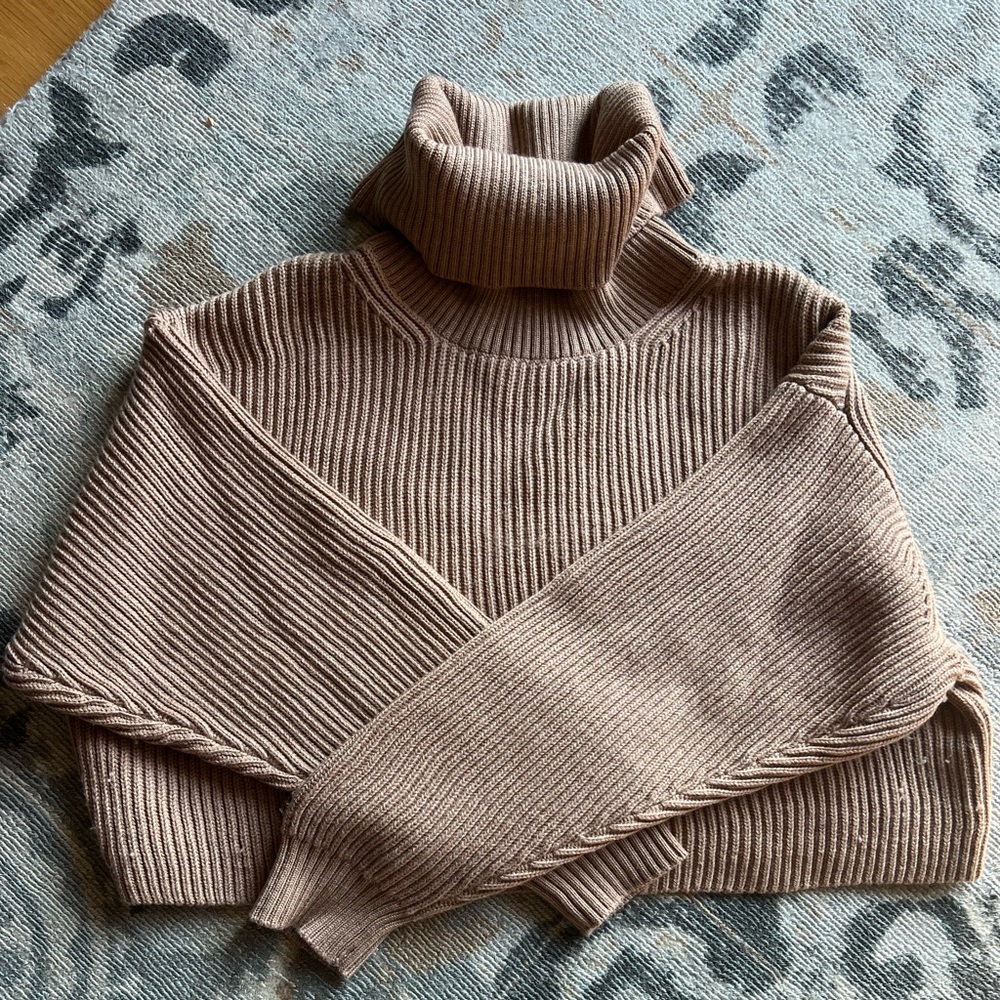Aritzia Babaton wool sweater